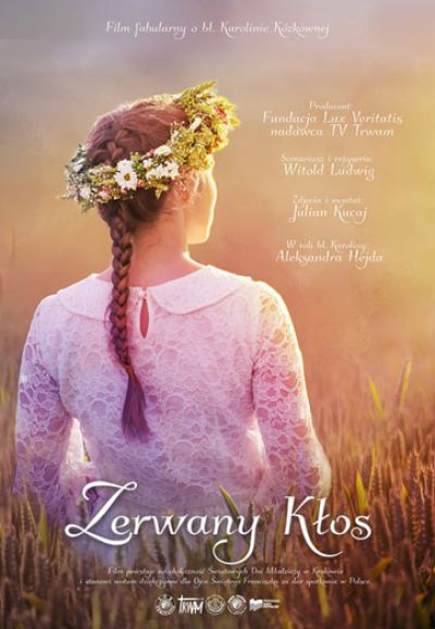 Zerwany Kłos